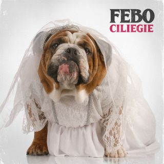 Febo - Ciliegie (Radio Date: 08-11-2019)