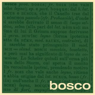 Flic Floc - Bosco (Radio Date: 02-06-2023)