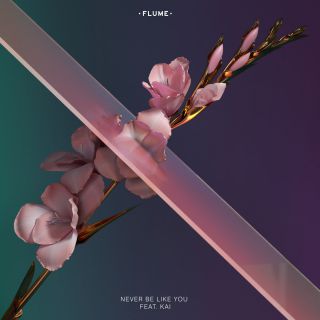 Flume - Never Be Like You (feat. Kai) (Radio Date: 18-01-2016)