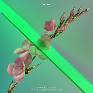 Flume - Never Be Like You (feat. Kai) (Disclosure Remix)