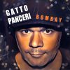 GATTO PANCERI - Bombay