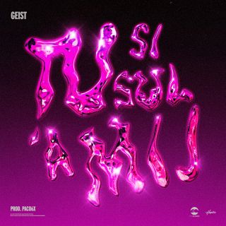 Geist & Paco6x - Tu Si Sul A Mij (Radio Date: 22-07-2022)