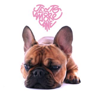 Jesto - Amore cane (Radio Date: 09-03-2018)