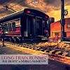 JOE BERTE' & MIRKO ALIMENTI - Long Train Runnin'