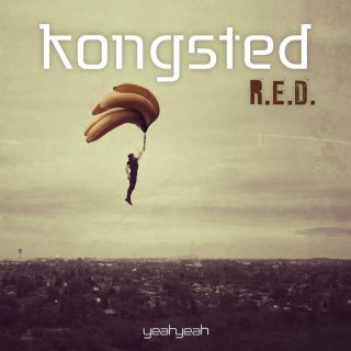 Kongsted - R.E.D.