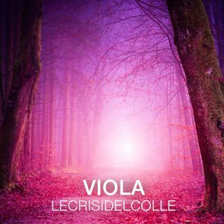 Le Crisi Del Colle - Viola (Radio Date: 17-01-2020)