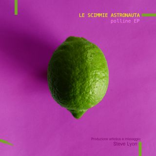 Le Scimmie Astronauta - Polline (Radio Date: 28-03-2014)