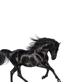 Lil Nas X - Old Town Road (feat. Billy Ray Cyrus) (Remix) (Radio Date: 19-04-2019)
