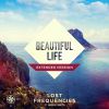 LOST FREQUENCIES - Beautiful Life (feat. Sandro Cavazza)