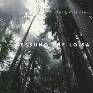 Luca Mancino - Nessuno che lo sa (Radio Date: 25-05-2018)