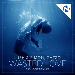 Lush & Simon, Gazzo - Wasted Love (feat. Robbie Rosen) (Radio Date: 26-02-2016)