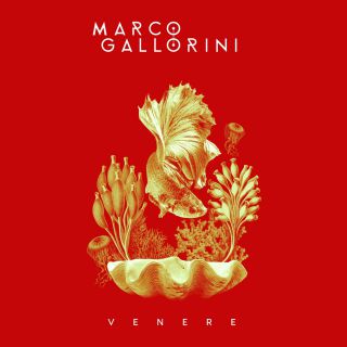 Marco Gallorini - Venere (Radio Date: 12-05-2020)