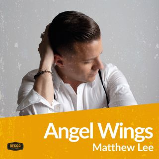 Matthew Lee - Angel Wings