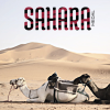 MEDAL - Sahara