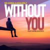 MR.ANIMAL & ADALWOLF - Without You (feat. Daniele Iacucci)
