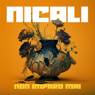NICALI - NON IMPARO MAI (Radio Date: 24-03-2023)
