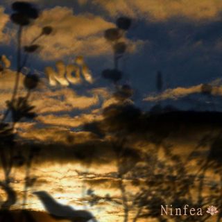 Ninfea - Noi (Radio Date: 30-06-2023)