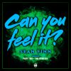 SEAN FINN - Can You Feel It