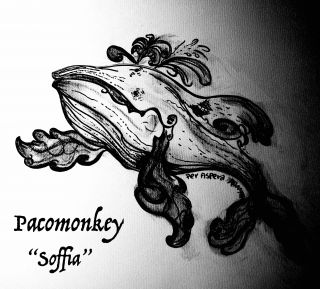 Pacomonkey - Soffia (Radio Date: 25-06-2021)