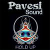 PAVESI SOUND - Hold Up