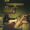 PHOSPHORESCENT - Terror In The Canyons (The Wounded Master)