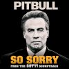 PITBULL - So Sorry