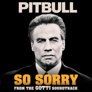 Pitbull - So Sorry (Radio Date: 02-07-2018)