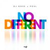 DJ ROSS, POUL - No Different