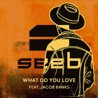 Seeb - What Do You Love (feat. Jacob Banks) (Radio Date: 21-10-2016)