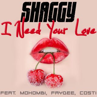 Shaggy - I Need Your Love (feat. Mohombi, Faydee & Costi) (Radio Date: 24-07-2015)