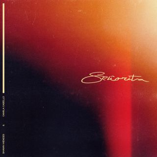 Shawn Mendes & Camila Cabello - Señorita (Radio Date: 28-06-2019)