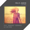 FELIX JAEHN - Shine (feat. Freddy Verano & Linying)