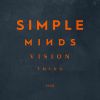 SIMPLE MINDS - Vision Thing