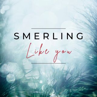 Smerling - Like You (Radio Date: 17-12-2021)