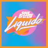 SOUL SYSTEM - Liquido