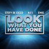 STEFY DE CICCO, N.F.I. & EMIE - Look What You Have Done