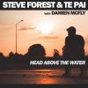 STEVE FOREST, TE PAI & DAMIEN MCFLY - Head above the water