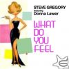 STEVE GREGORY FEAT. DONNA LAWER - What Do You Feel