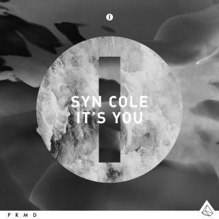 Syn Cole - It's You