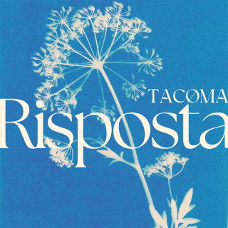 TACØMA - Risposta (Radio Date: 26-04-2024)