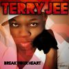 TERRY JEE - Break Your Heart