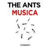 THE ANTS - Musica