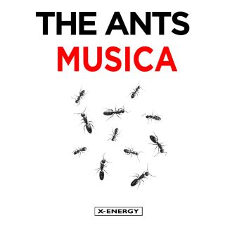 The Ants - Musica (Radio Date: 06-03-2015)