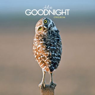 The Goodnight - Back to Life (Radio Date: 19-12-2014)