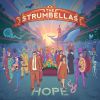 THE STRUMBELLAS - Young & Wild