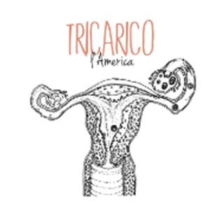 Tricarico - L'America (Radio Date: 01-02-2013)