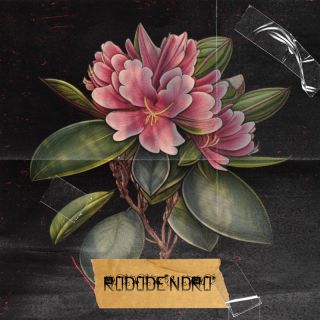 Ultra - rododendro (Radio Date: 06-10-2023)