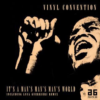 Vinyl Convention - It's a Man's Man's Man's World