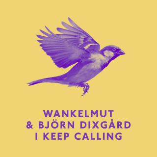 Wankelmut & Björn Dixgård - I Keep Calling (Radio Date: 17-11-2017)