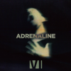 YOU ME AT SIX - Adrenaline